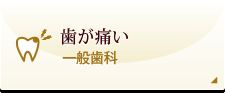 歯が痛い 一般歯科