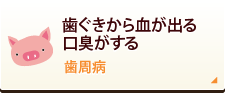 歯ぐきから血が出る口臭がする 歯周病