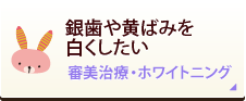 銀歯や黄ばみを白くしたい 審美治療・ホワイトニング